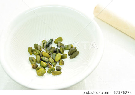 開心果做飯 開心果做飯 67376272