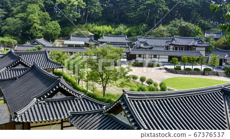 韓國江原道江陵市Mission Field 韓國江原道江陵市Mission Field 67376537