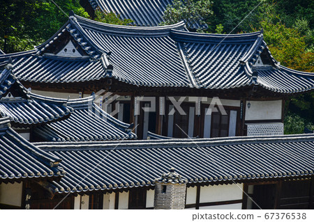 Mission Field, Gangneung-si, Gangwon-do, Korea 67376538