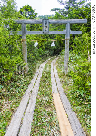 Shigayama Shrine Torii (vertical) 67376630