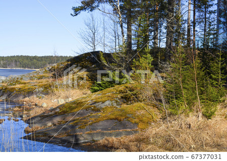 Sunny spring day on the shores of Lake Ladoga Sunny spring day on the shores of Lake Ladoga 67377031