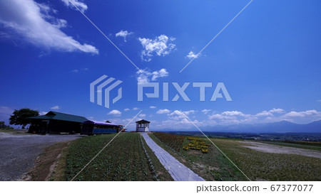 Flower Land Kamifurano Flower Land Kamifurano 67377077