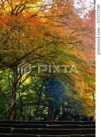 Eikoji寺 67377196