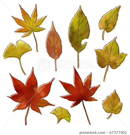 Illustration material of autumn leaves (deep misalignment) Illustration material of autumn leaves (deep misalignment) 67377902