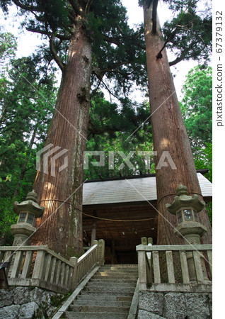 Ena Shrine Couple Cedar and Main Hall: Ena City, Gifu Prefecture 67379132