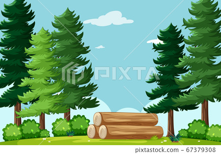 Empty background nature park scenery 67379308