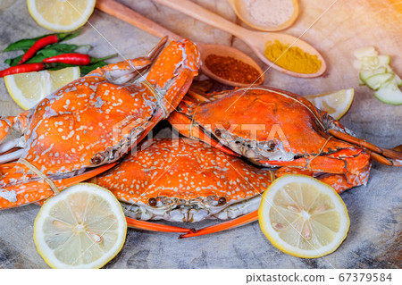 jumbo crab and spices herb on dark background jumbo crab and spices herb on dark background 67379584