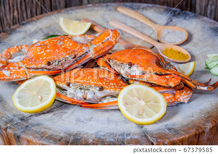 jumbo crab and spices herb on dark background jumbo crab and spices herb on dark background 67379585