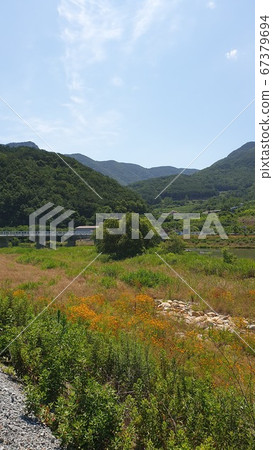 Rural landscape 67379694