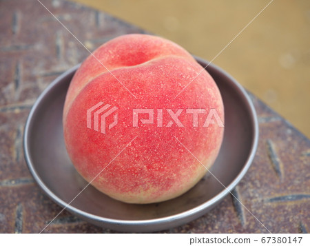 White peach 67380147