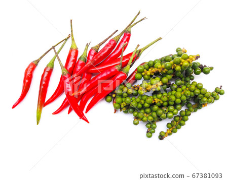red hot chilli pepper and dried chili and fresh 67381093