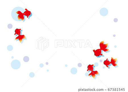 夏季賀卡與金魚圖案沒有文本 67381545