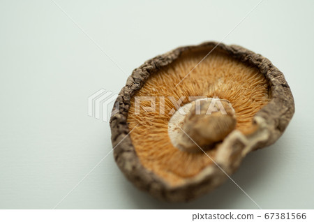 乾香菇微距攝影 67381566