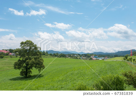 Hiruzen Kogen refreshing breeze Hiruzen Kogen refreshing breeze 67381839