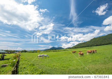 Hiruzen Kogen refreshing breeze Hiruzen Kogen refreshing breeze 67381841