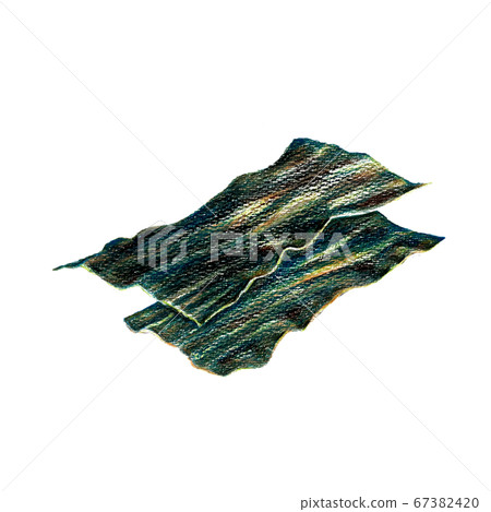 Picture of kelp drawn with colored pencils 67382420