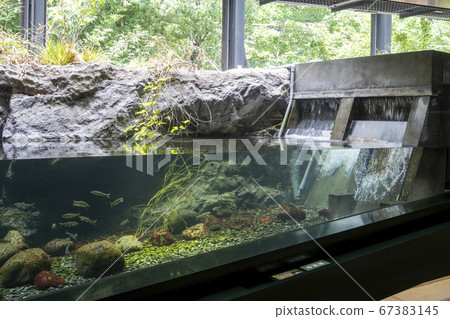 Inside of Sagamihara Fureai Science Museum Aquarium Sagamihara Inside of Sagamihara Fureai Science Museum Aquarium Sagamihara 67383145
