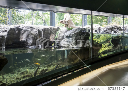 Inside of Sagamihara Fureai Science Museum Aquarium Sagamihara Inside of Sagamihara Fureai Science Museum Aquarium Sagamihara 67383147
