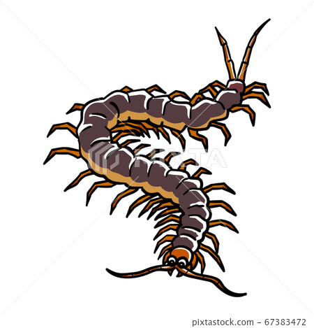 Bug_cent Bug_cent 67383472