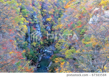 秋葉Naruko鄉 秋葉Naruko鄉 67383584