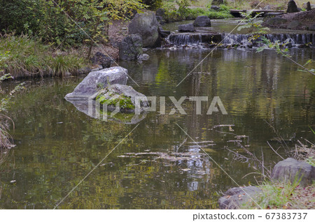 大泉琉璃公園的秋天風景在大阪。 大泉琉璃公園的秋天風景在大阪。 67383737