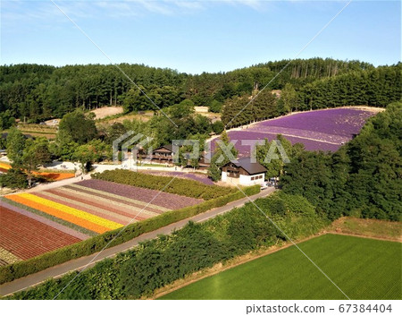 Summer view of Furano flower garden in Hokkaido seen from the sky Summer view of Furano flower garden in Hokkaido seen from the sky 67384404