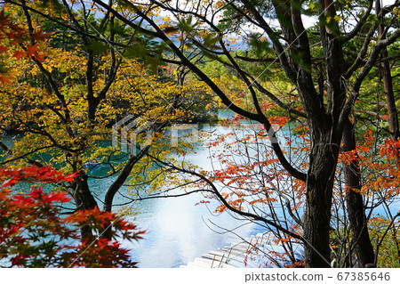 Goshikinuma秋葉東北 67385646