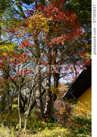 Goshikinuma秋葉東北 67385647