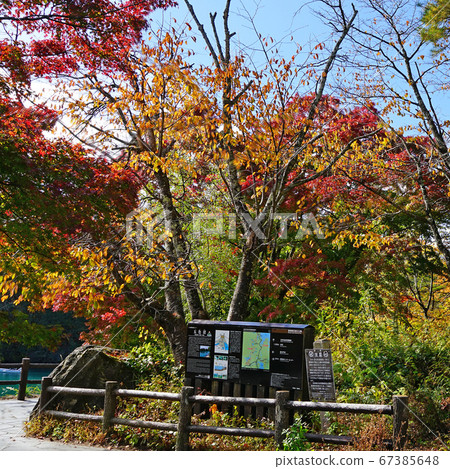 Goshikinuma秋葉東北 67385648