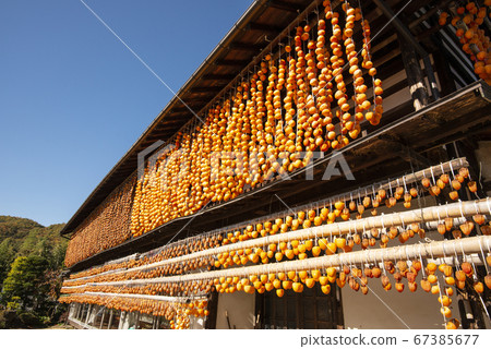Dried persimmon of Matsuri, Koshu City, Yamanashi Prefecture 67385677