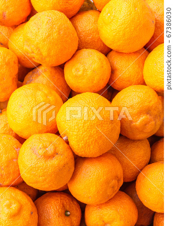 Yuzu harvested at home in winter 2019 67386030