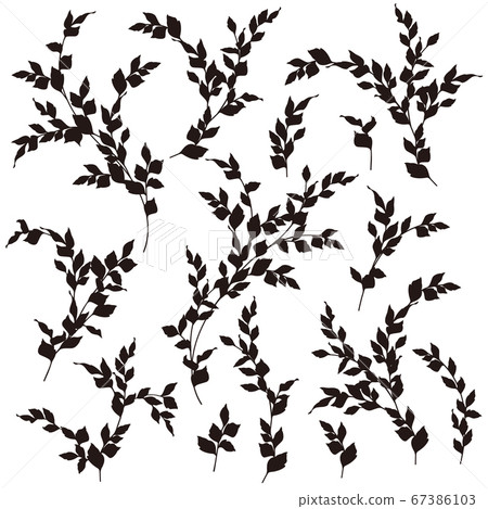 Simple and stylish botanical illustration 67386103