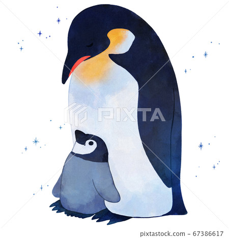 Emperor penguin parent and child 67386617