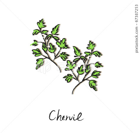 Herb Churville 67387253