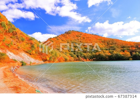 秋葉鹿沼 秋葉鹿沼 67387314