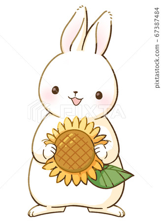 White rabbit and sunflower - Stock Illustration [67387484] - PIXTA