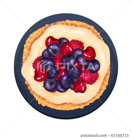 Tartlet or Small Pie with Blueberry and Raspberry as Dessert Served on Plate Vector Illustration 67388715