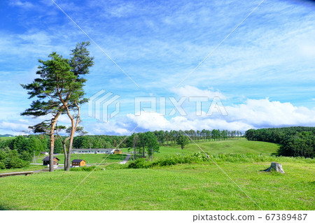 淺間高原農場牧場風景 67389487