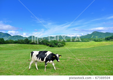 淺間高原農場牧場風景 67389504