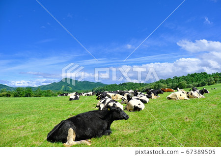 Asama Kogen Farm Ranch Scenery 67389505