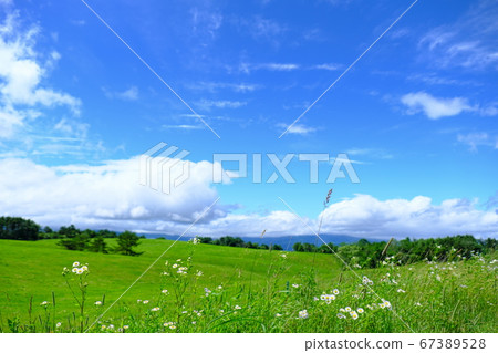 淺間高原農場，廣闊的草地 67389528