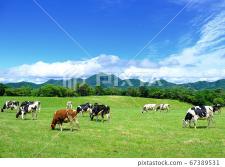 Asama Kogen Farm Ranch Scenery Asama Kogen Farm Ranch Scenery 67389531