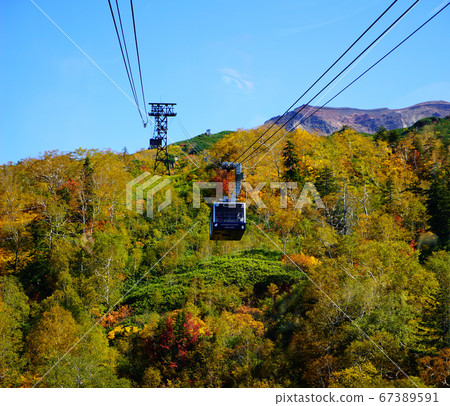 Hokkaido Asahidake Autumn leaves Hokkaido Asahidake Autumn leaves 67389591