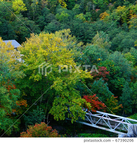 北海道層雲峽溫泉秋葉 北海道層雲峽溫泉秋葉 67390206