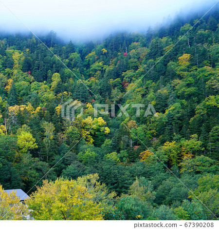 北海道層雲峽溫泉秋葉 北海道層雲峽溫泉秋葉 67390208