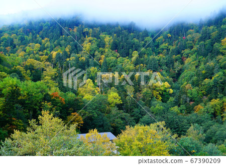 北海道層雲峽溫泉秋葉 北海道層雲峽溫泉秋葉 67390209