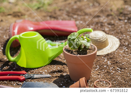 Gardening concept- gardening tools and flowers in the garden 056 Gardening concept- gardening tools and flowers in the garden 056 67391812