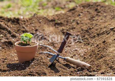 Gardening concept- gardening tools and flowers in the garden 010 Gardening concept- gardening tools and flowers in the garden 010 67391828