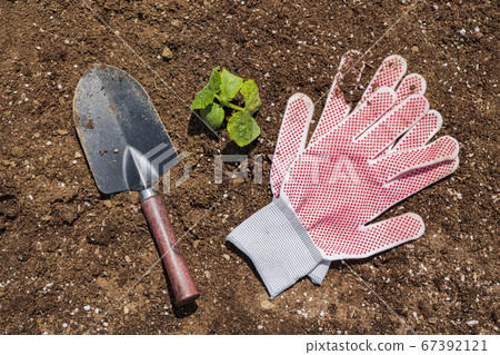 Gardening concept- gardening tools and flowers in the garden 060 67392121