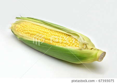 Jumbo sweet corn Jumbo sweet corn 67393075